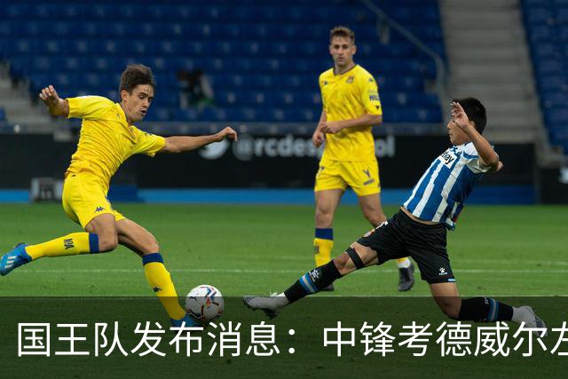 国王队发布消息：中锋考德威尔左小腿拉伤，预计两周后复查